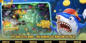 App Bắn Cá Tại 888b - Trải Nghiệm Các Màn Săn Cá Thú Vị 