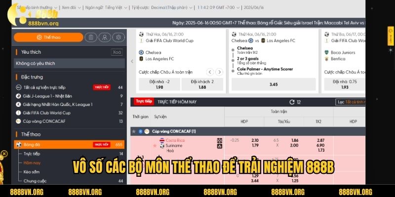 Vô số các bộ môn thể thao để trải nghiệm