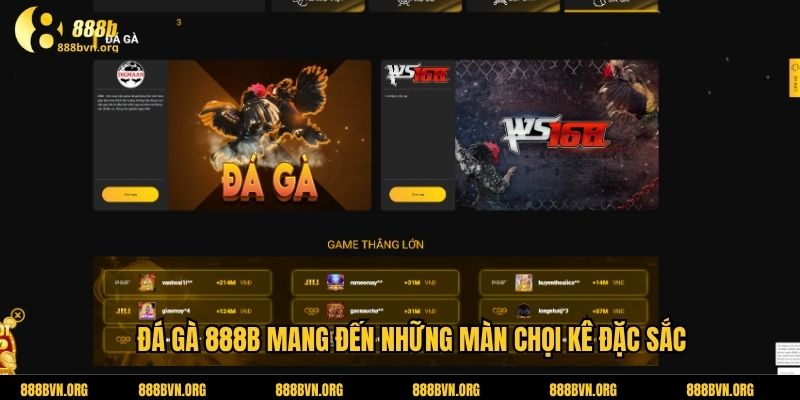 Đá gà 888b mang đến những màn chọi kê đặc sắc