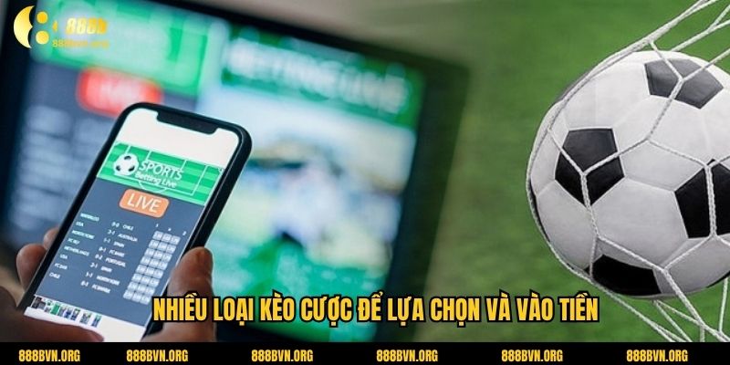 Nhiều loại kèo cược để lựa chọn và vào tiền