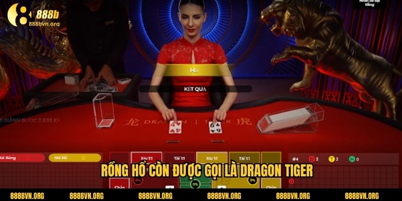 Rồng hổ còn được gọi là Dragon Tiger